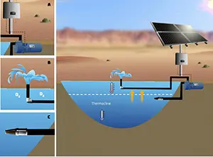 Solar Water Pumps: Things To Know and Tips For Use [2020]